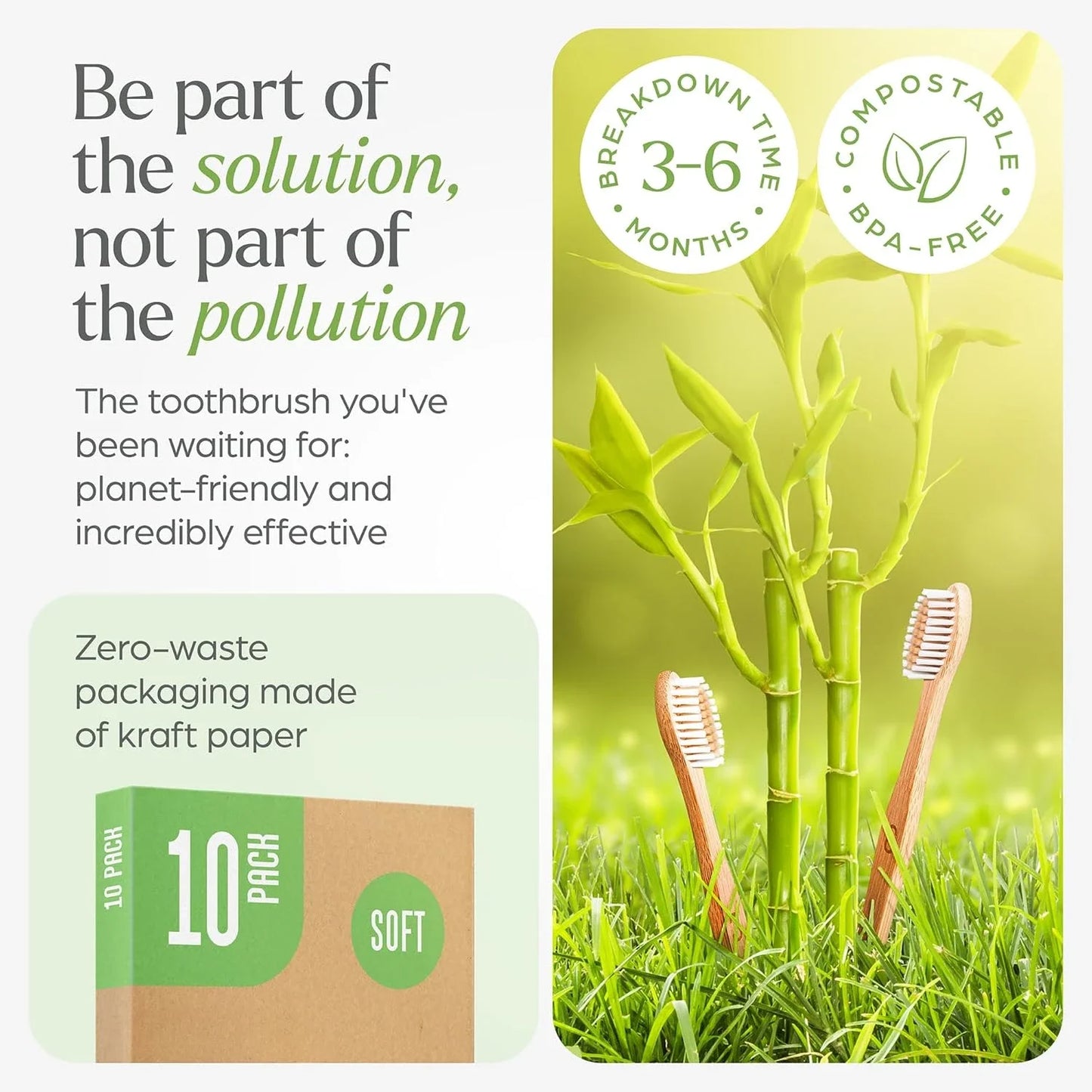 Biodegradable Bamboo Toothbrush Pack, Compostable Wooden Handle, Eco Friendly